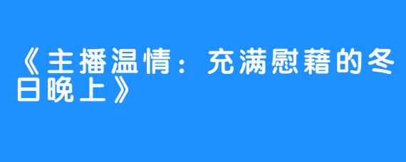 《主播温情：充满慰藉的冬日晚上》