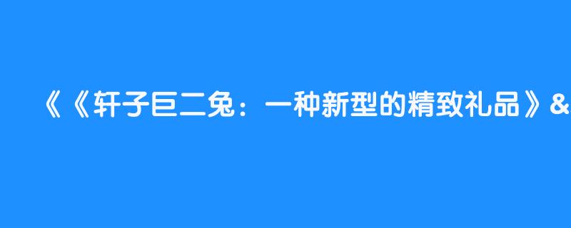 《轩子巨二兔：一种新型的精致礼品》