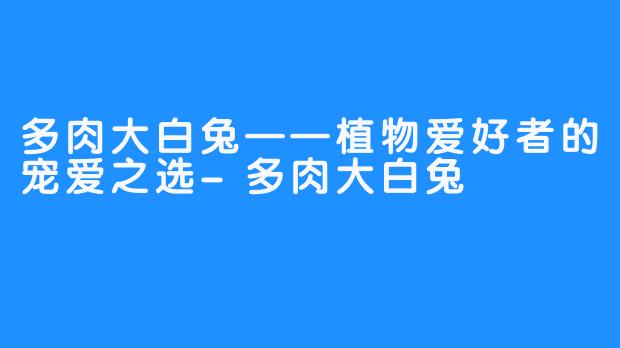 多肉大白兔——植物爱好者的宠爱之选-多肉大白兔