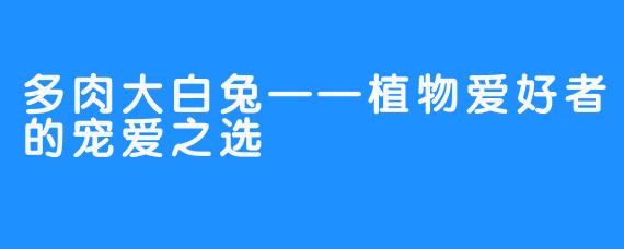 多肉大白兔——植物爱好者的宠爱之选