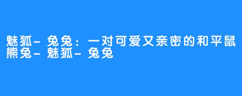 魅狐-兔兔：一对可爱又亲密的和平鼠熊兔-魅狐-兔兔