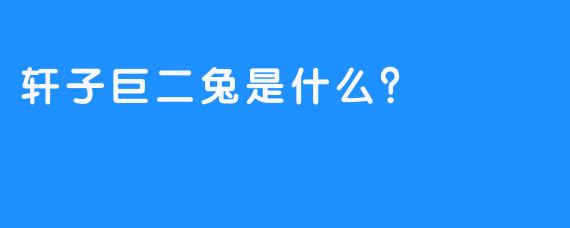 轩子巨二兔是什么？