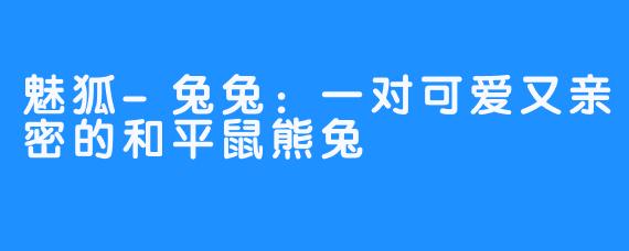 魅狐-兔兔：一对可爱又亲密的和平鼠熊兔