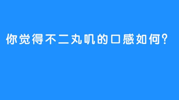 你觉得不二丸叽的口感如何？