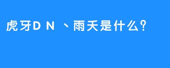 虎牙DN丶雨夭是什么？