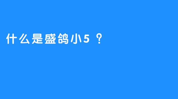 什么是盛鸽小5？