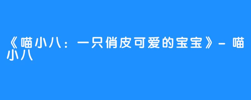 《喵小八：一只俏皮可爱的宝宝》-喵小八