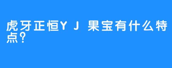 虎牙正恒YJ果宝有什么特点？