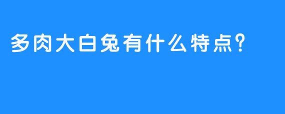 多肉大白兔有什么特点？