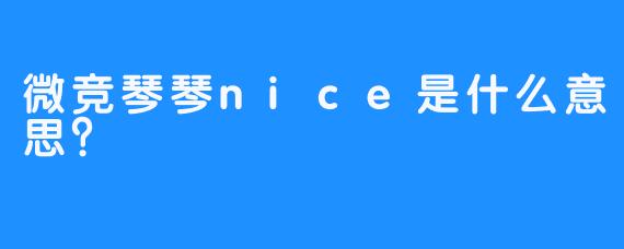 微竞琴琴nice是什么意思？