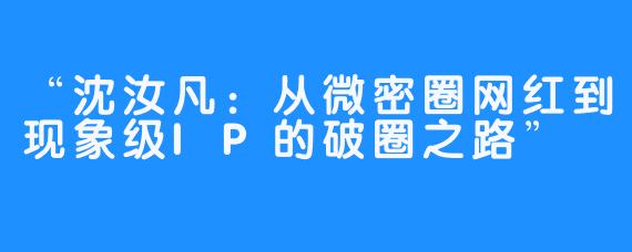 “沈汝凡:从微密圈网红到现象级IP的破圈之路”