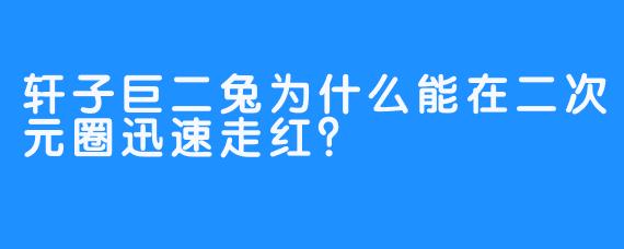 轩子巨二兔为什么能在二次元圈迅速走红?