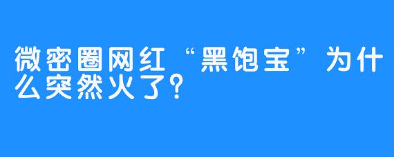 微密圈网红“黑饱宝”为什么突然火了？