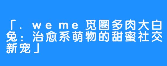 「.weme觅圈多肉大白兔：治愈系萌物的甜蜜社交新宠」