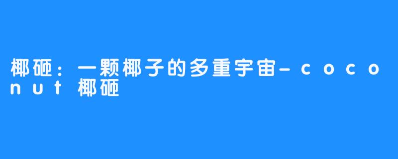 椰砸：一颗椰子的多重宇宙-coconut椰砸