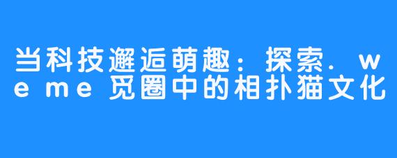 当科技邂逅萌趣：探索.weme觅圈中的相扑猫文化