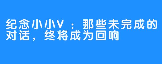 纪念小小V：那些未完成的对话，终将成为回响