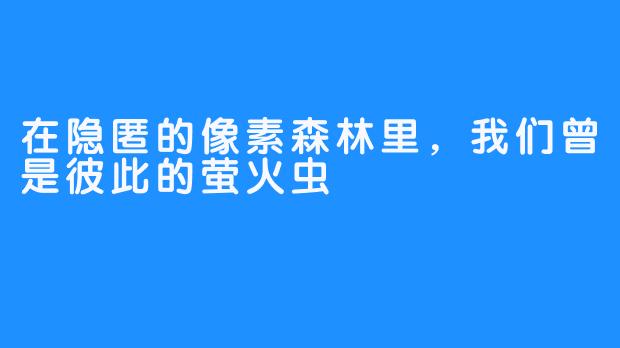 在隐匿的像素森林里，我们曾是彼此的萤火虫