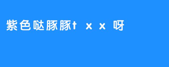 紫色哒豚豚txx呀：一个虚拟ID背后的温柔宇宙