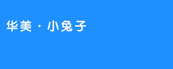 华美·小兔子