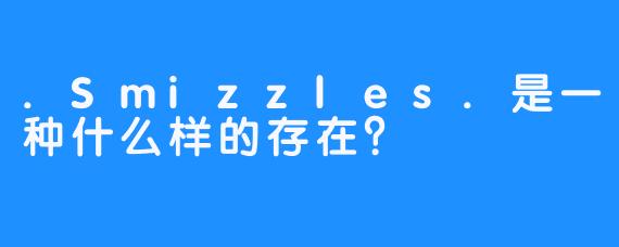 .Smizzles.是一种什么样的存在？