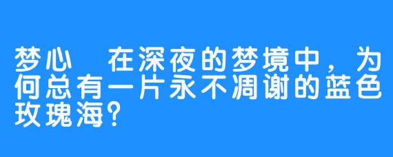 梦心玥在深夜的梦境中，为何总有一片永不凋谢的蓝色玫瑰海？