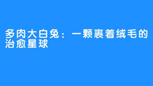多肉大白兔：一颗裹着绒毛的治愈星球
