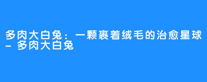 多肉大白兔：一颗裹着绒毛的治愈星球-多肉大白兔