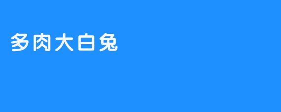 多肉大白兔：一颗裹着绒毛的治愈星球